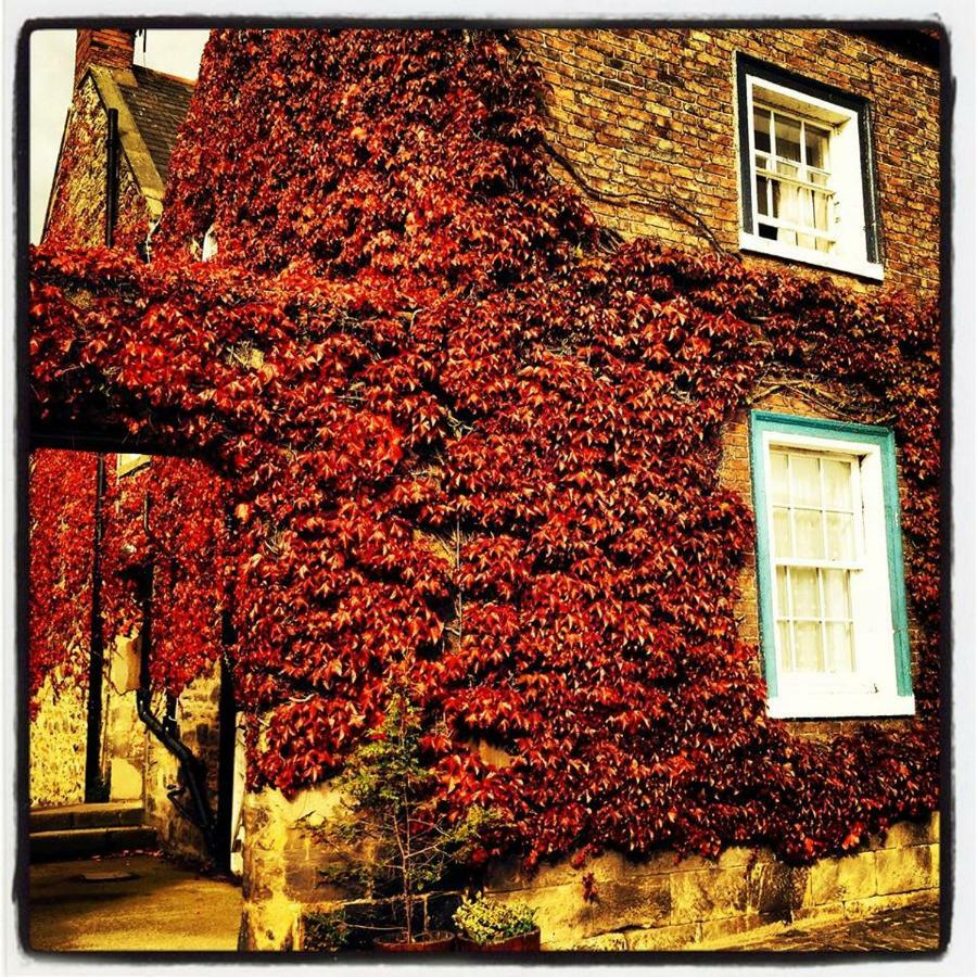 Blue Bell Hotel Belford Exterior photo